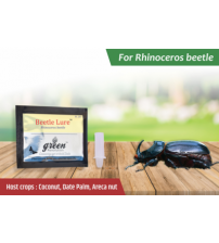 Beetle Lure / Rhinoceros Beetle Pheromone Lure
